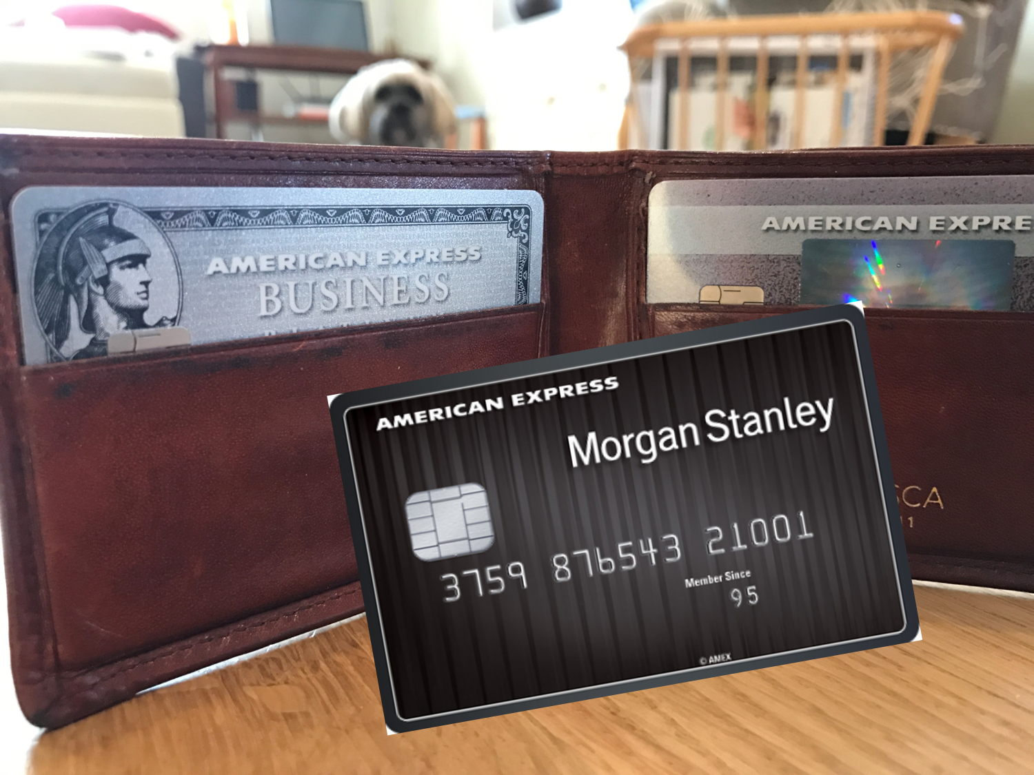 Morgan Stanley - Your Financial Freedom with Our Credit Cards