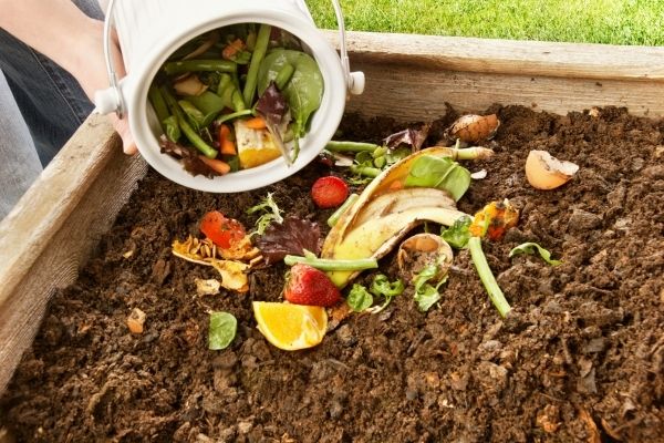 Effective Composting Techniques to Transform Your Garden